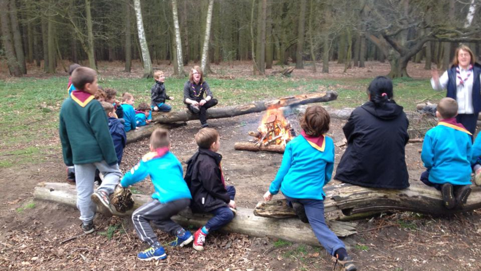 Beavers at the Campfire
