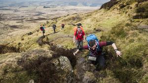 Dofe min