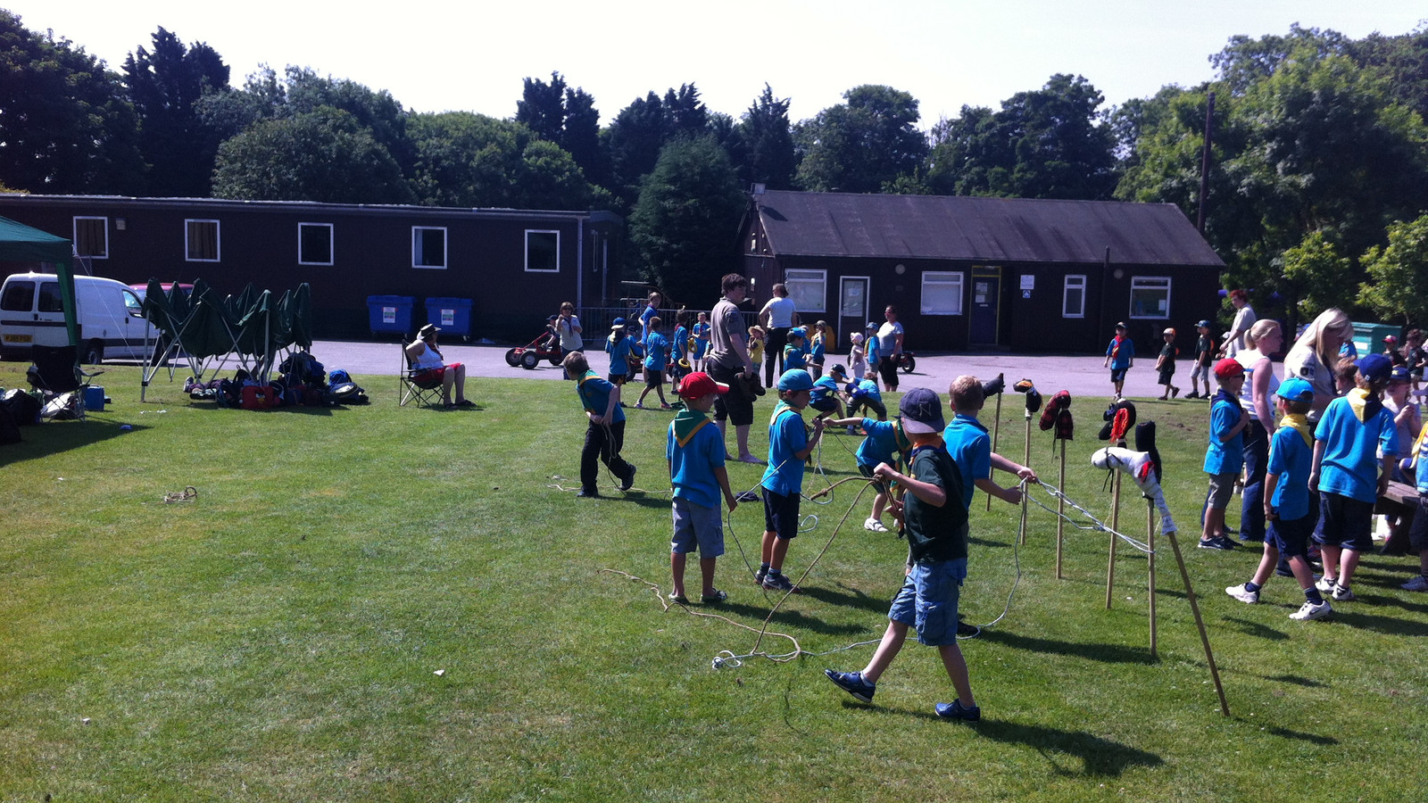 beavers having fun on the orchard