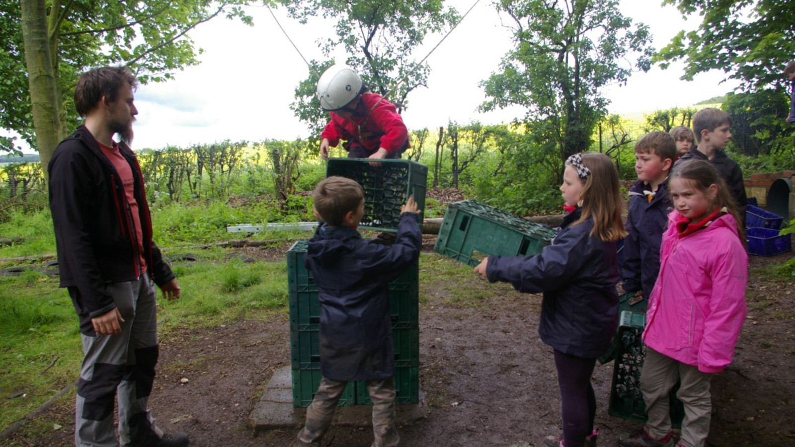 Cubs Crate Climbing