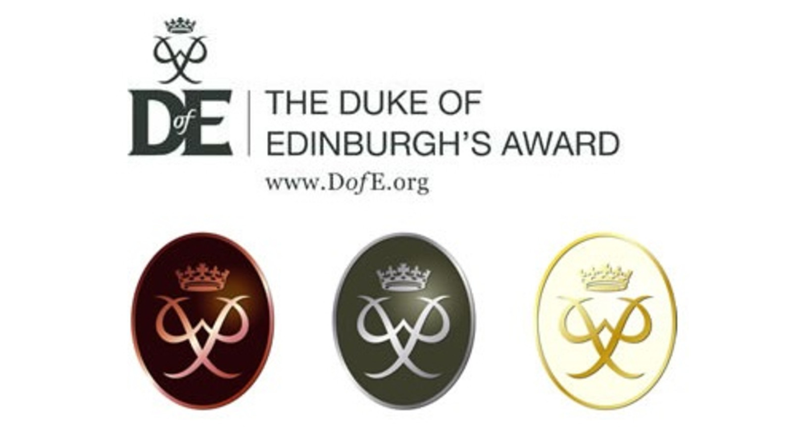 Image result for duke of edinburgh award scouts