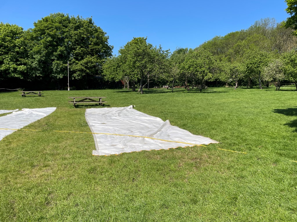 Raywell Park Working Day
