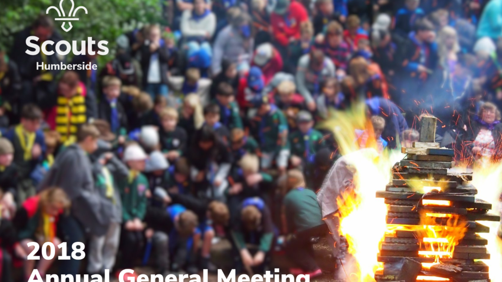 2018 AGM image