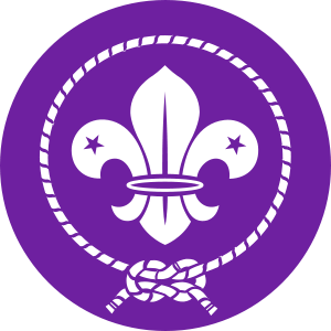 World scout logo