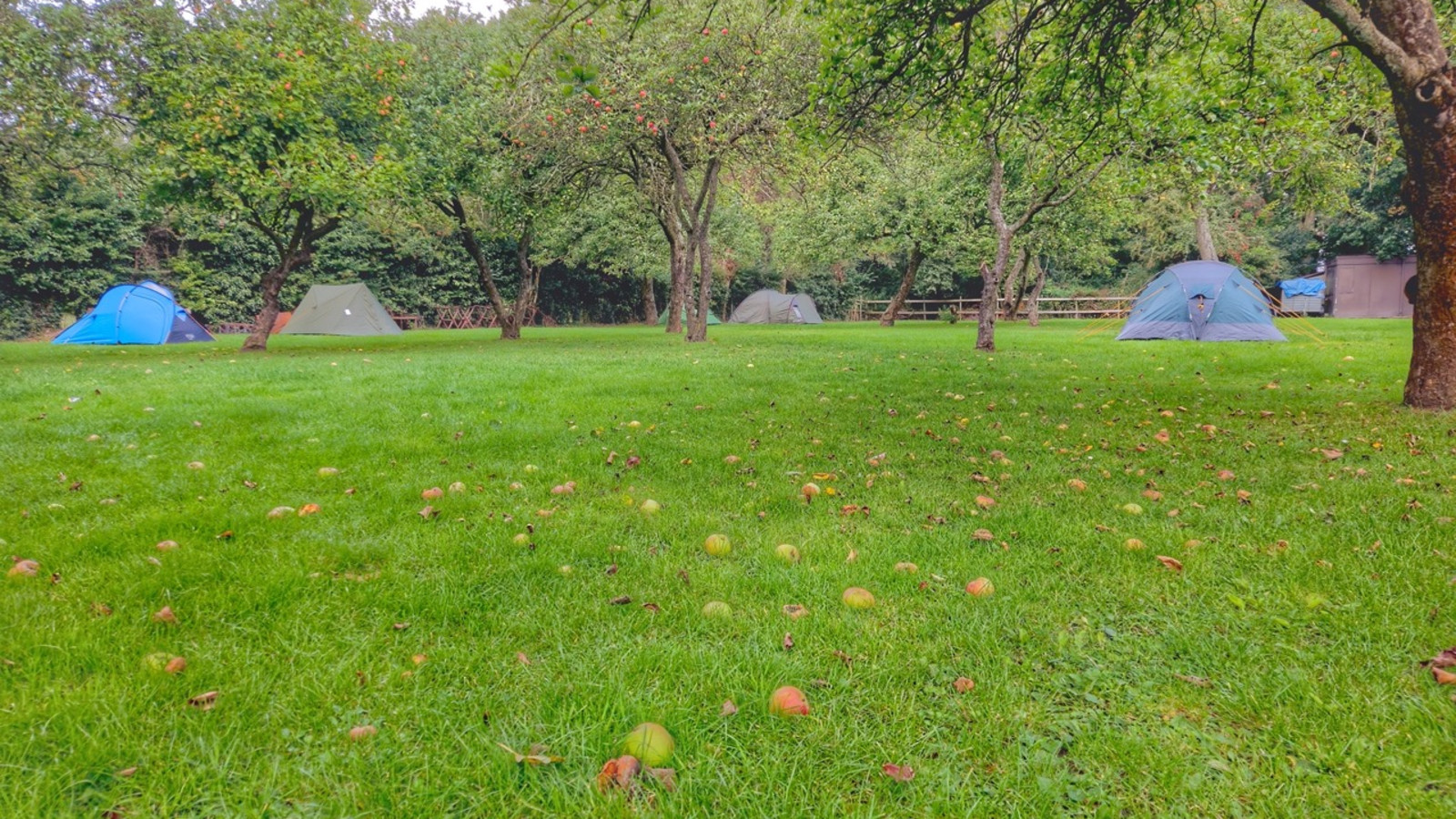 Raywell Park Camping Raywell Park Camping
