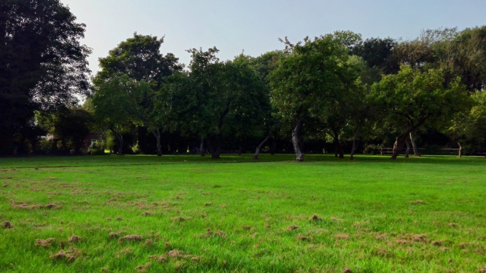 Raywell Park Camping Raywell Park Camping