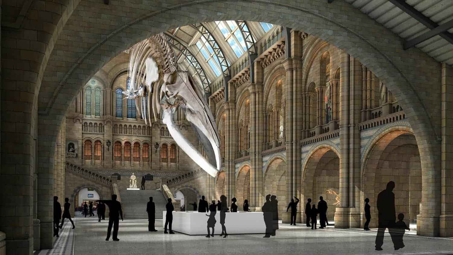 *Fully Booked* Cubs Sleepover at the Natural History Museum!
