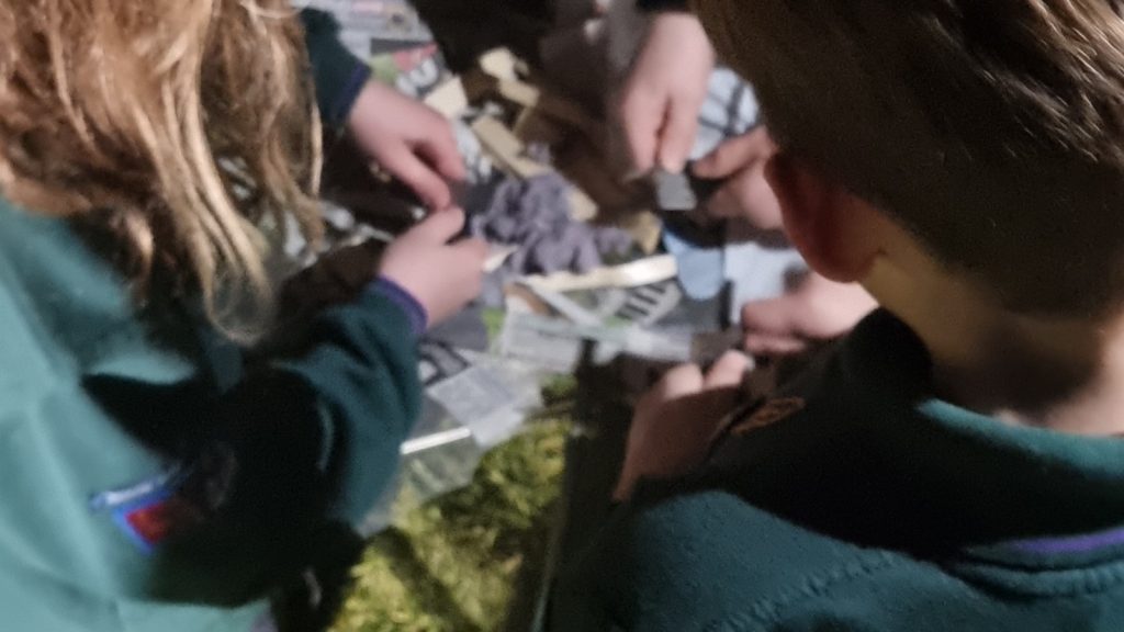 Lighting The Way Hedon Cubs Take On Flint And Steel Fire Challenge
