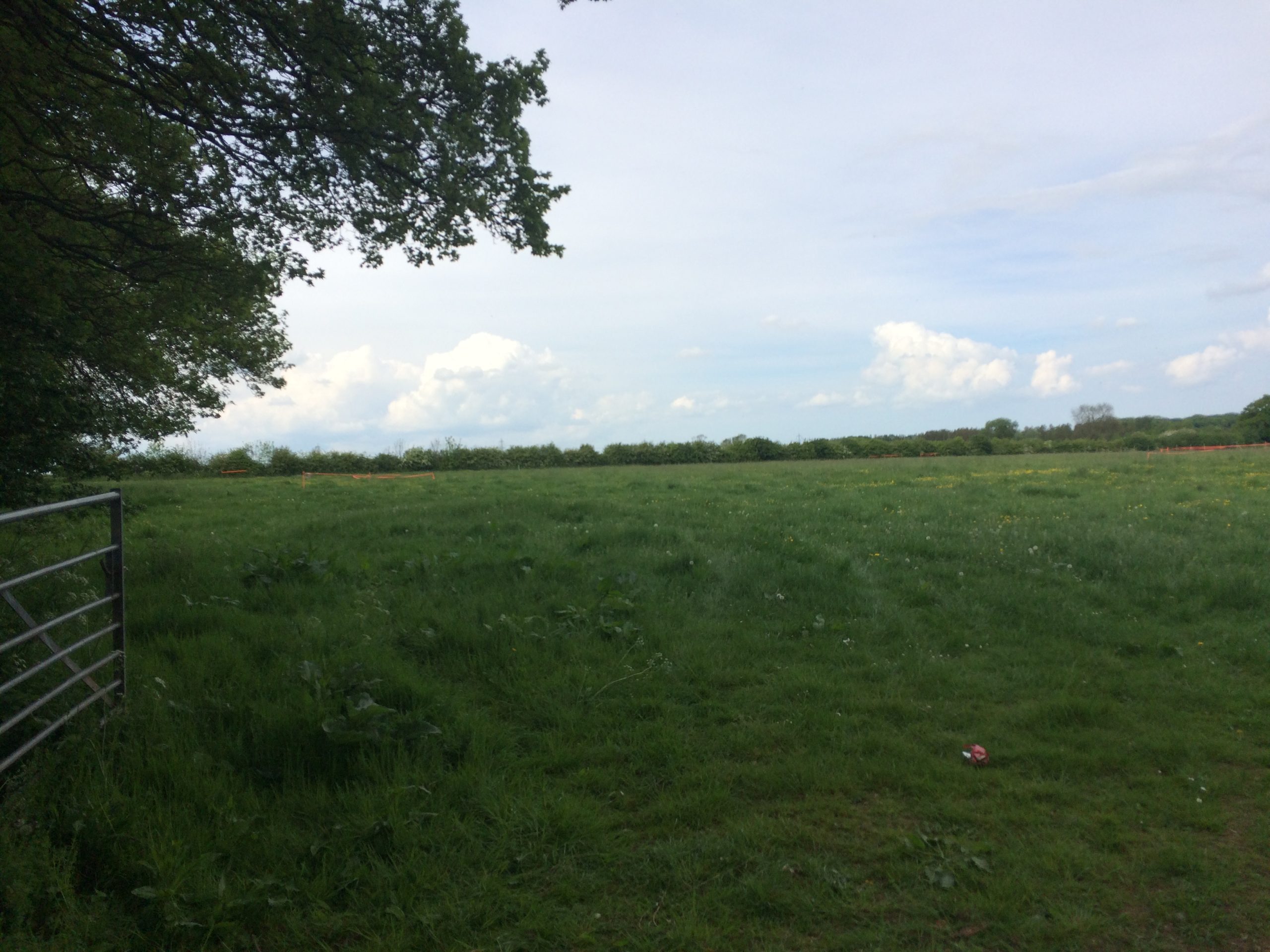 Raywell Park Camping