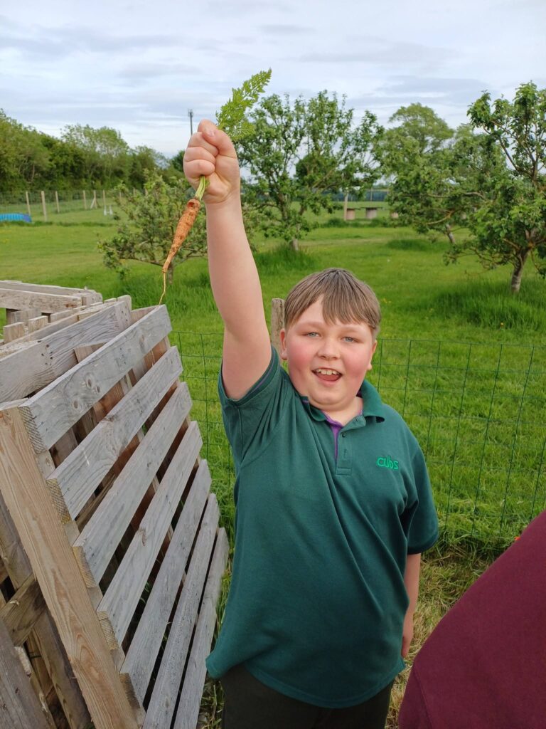 Cubs Beavers And Scouts Get Back To The Allotment